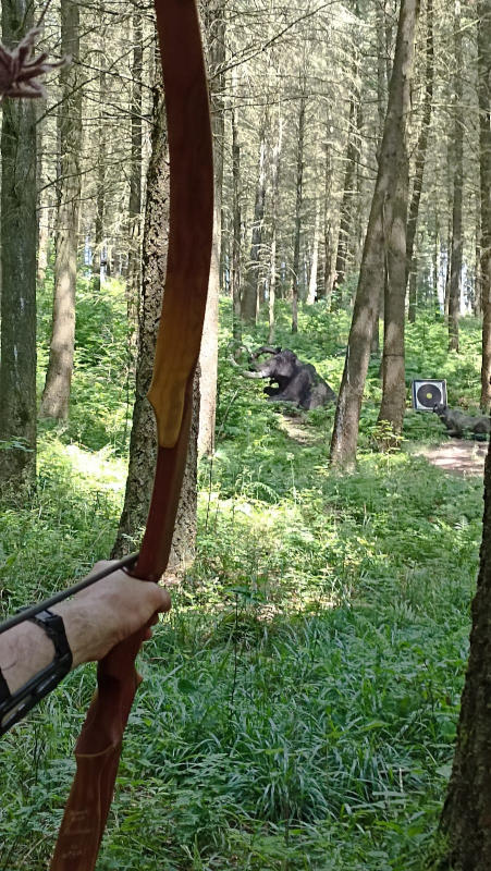 Shooting in Germany